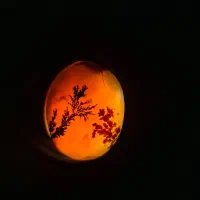 شجر قائن کلکسیونی همراه عقیق یمن