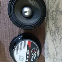 میدرنج سانتاکروز اورجینال|قطعات یدکی و لوازم جانبی|سلماس, |دیوار