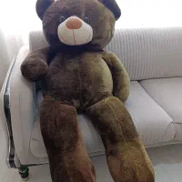 خرس قهوه‌ای