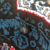 دو عدد قالی 6متری|فرش|مشهد, شهید شهریاری|دیوار