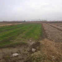 فروش زمین|فروش دفتر صنعتی، کشاورزی، تجاری|سلماس, |دیوار