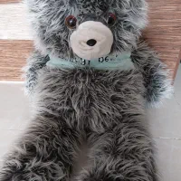 خرس بزرگ پشمالو