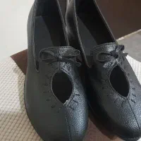 کفش زنانه سایزها فقط فقط فقط۳۸ موجوده|کیف، کفش، کمربند|شوش, |دیوار