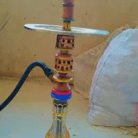 قلیان زرد زنبوری