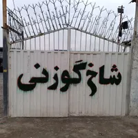 حفاظ شاخ گوزنی حفاظ نیزه ای