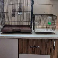قفس