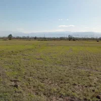 ۱۱۳۰۰مترشالیزارسنتی/زیرقیمت واقعی/چسبیده به انشعاب|فروش زمین و ملک کلنگی|آستانه اشرفیه, |دیوار