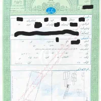 300متر-زمین-سندتکبرگ-سهیلیه-زعفرانیه-کامرانیه