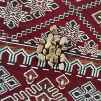 بذر باقله