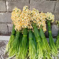 گل رزونرگس گل مریم گل کلایل|گل و گیاه طبیعی|بهبهان, |دیوار