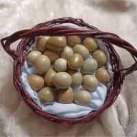 تخم مرغ زیبا