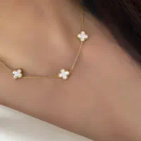 بدلیجات ونکلیف