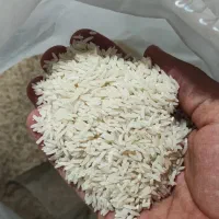 فروش برنج درجه یک طارم از شهرستان درگز
