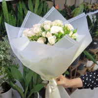 رز مینیاتوری بسته ای فقط ۴۵۰|گل و گیاه طبیعی|شیراز, خلدبرین|دیوار