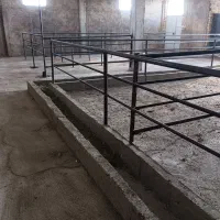 فروش  دامداری صنعتی گوسفند داشتی 200راسی|فروش دفتر صنعتی، کشاورزی، تجاری|زنجان, |دیوار