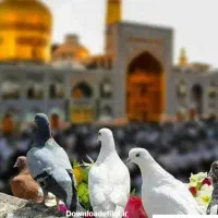 زرند به مشهد