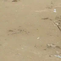 معاوضه-زمین-تیس-با-کمب