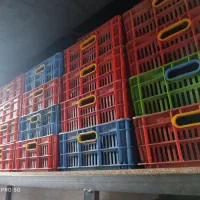 سبد پلاستیکی