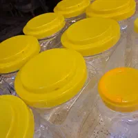 ظرف ترشی و حبوبات|ظروف نگهدارنده، پلاستیکی، یکبارمصرف|ری, علایین|دیوار