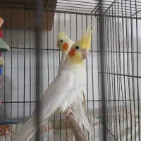 بندر ماهشهر شهرک طالقانی