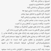 کود محرک رشد گیاهان آپارتمانی|گل و گیاه طبیعی|زابل, |دیوار