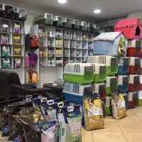 منشی و فروشنده کلینیک دامپزشکی و پت شاپ
