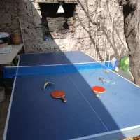 میز پینگ پونگ تا شو