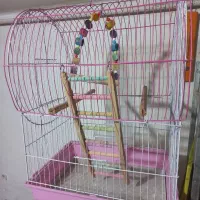 قفس پرنده|لوازم جانبی حیوانات|رشت, معلولین|دیوار
