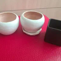 گلدان|گل و گیاه طبیعی|مشهد, نکاح|دیوار