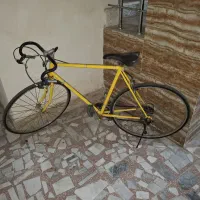 کورسی پژو قناری