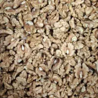 فروش مغز گردو اقساط ۱۰ ماهه