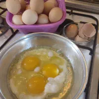 پخش عمده تخم مرغ محلی|خوردنی و آشامیدنی|تهران, جیحون|دیوار