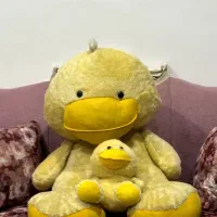 جوجه اردک پولیشی