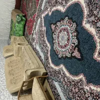 سوییت مجردی و خانواده