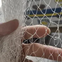 تور ماهیگیری، سالی|ماهیگیری|رودسر, |دیوار