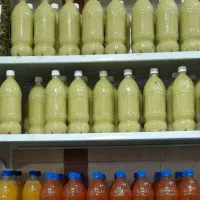 فروشگاه عسل گرده .تمام محصولات بقیمت عمده|خوردنی و آشامیدنی|گرمسار, |دیوار