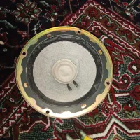 بلند گو