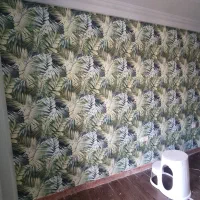 نصب کاغذ دیواری|خدمات پیشه و مهارت|رشت, جماران|دیوار