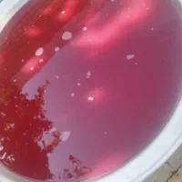 رب انار خوش طعم|خوردنی و آشامیدنی|مرودشت, شهرک مهدیه|دیوار