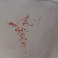 شستوشوی مبل وصندلی وفرش وخوشخواب