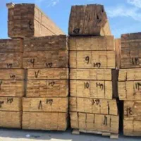 بورس انواع تخته نراد روسی جنگلی|عمدهفروشی|رشت, کوی طالقانی|دیوار