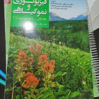 کتاب المپیاد زیست بیولوژی کمپبل|کتاب و مجله آموزشی|کرمانشاه, |دیوار