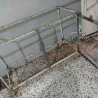 قفس پرنده|لوازم جانبی حیوانات|مینودشت, |دیوار