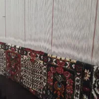 برای همکاری پیام دهید
