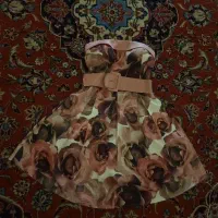 تعدادی لباس مجلسی|لباس|شیراز, اصلاح‌نژاد|دیوار