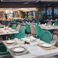 آشپزفرنگی و وسط کار فرنگی