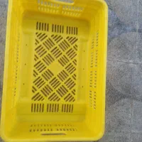 سبدبزرگ|ظروف نگهدارنده، پلاستیکی، یکبارمصرف|شبستر, |دیوار