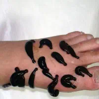 آموزش طب سنتی از مبتدی تا پیشرفته