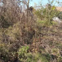 زمین|فروش زمین و ملک کلنگی|رودبنه, |دیوار