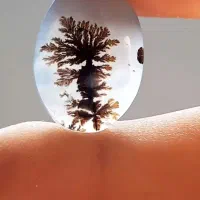 چهار عدد سنگ شجر قائنات|جواهرات|قم, علی آباد|دیوار